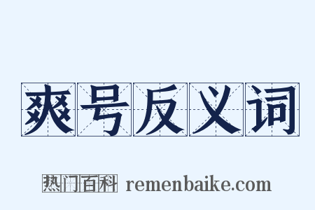 爽号反义词是什么意思的图片